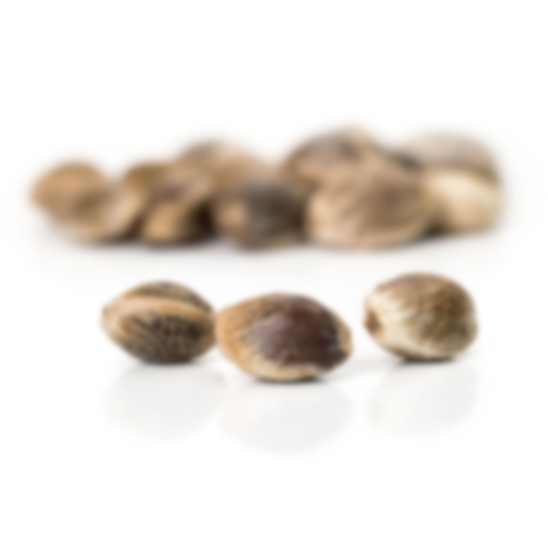 Marijuana oil cbd bottle