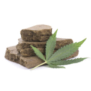 Marijuana oil cbd bottle